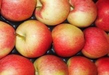 Wnioski na wycofywanie owoców i warzyw od 30 września