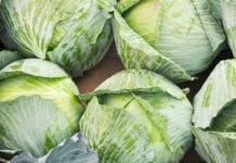 W Broniszach rosną ceny warzyw i borówki