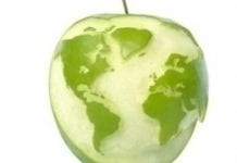 Grupa Azoty zielona i globalna