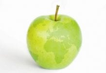 Interpoma – pomiędzy nadprodukcją jabłek a embargiem