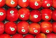 Polacy spożywają coraz mniej jabłek
