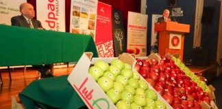 Konferencja „Europa rynkiem polskich jabłek” – cz.II
