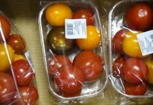 Pomidory deserowe