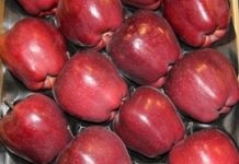 Chiny mogą eksportować jabłka do USA