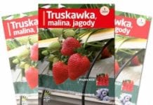 Nowe czasopismo „Truskawka, malina, jagody”