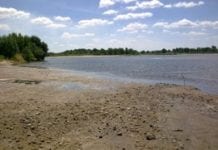 Niszczenie polskich rzek kosztuje miliony