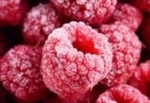 Polska silnym eksporterem mrożonych owoców i zagęszczonych soków