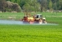 Przeciwko nielegalnym pestycydom