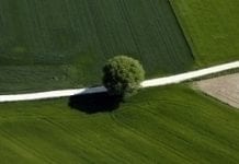 Wspólna Polityka Rolna zapewniła stabilny rozwój polskiego rolnictwa