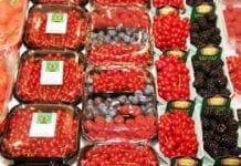Fruit Attraction przyciąga polskich wystawców