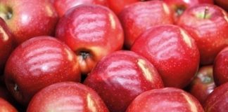 Handel jabłkami w praktyce