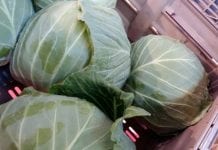 Rynek warzyw kapustnych. Analiza sytuacji – pierwsza dekada marca 2018