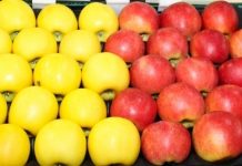 WAPA: zapasy jabłek w Europie w kwietniu