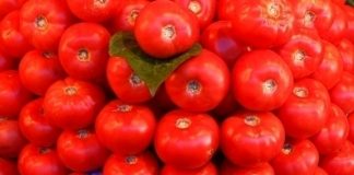 Tureckim pomidorom  mówimy stanowcze „niet!”