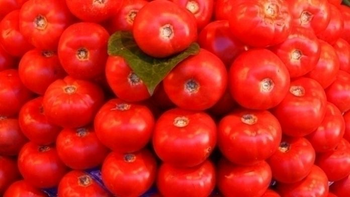 pomidory w Rosji