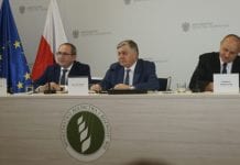 Program rozwoju głównych rynków rolnych w Polsce