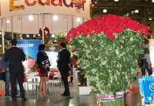 Rynek kwiatów ciętych Rosji