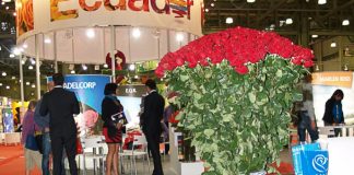 Rynek kwiatów ciętych Rosji