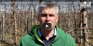 Komunikat sadowniczy 9.04.2018 – Robert Binkiewicz o ochronie sadów ziarnkowych i pestkowych