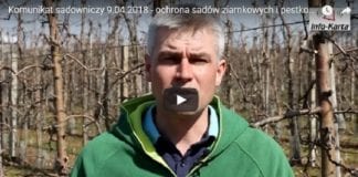 Komunikat sadowniczy 9.04.2018 – Robert Binkiewicz o ochronie sadów ziarnkowych i pestkowych