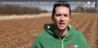 Komunikat jagodowy 9.04.2018 – Michał Malicki i zalecenia w uprawie truskawki, maliny i borówki