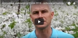 Komunikat sadowniczy z 23.04.2018 – ochrona w kwitnienie