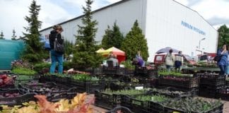 39. Wystawa Ogrodnicza w Krakowie