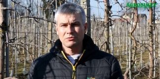Komunikat sadowniczy 13.03.2018 – Robert Binkiewicz