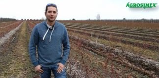Komunikat jagodowy 13.03.2018 – Michał Malicki