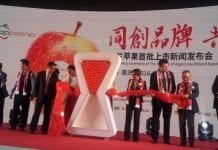 W Chinach ruszają imprezy promujące polskie jabłka