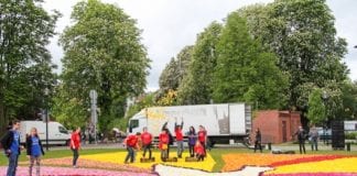 Bydgoskie Dywany Kwiatowe