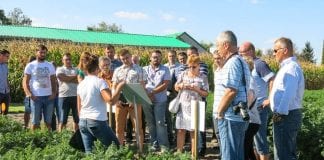 Prezentacja warzywniczych doświadczeń w Bedlnie