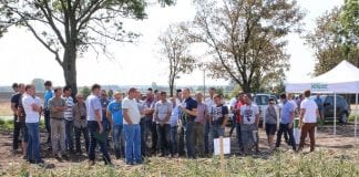 Cebulowe warsztaty polowe koło Strzelna