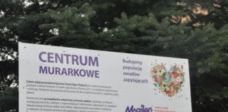 W Centrum Murarkowym