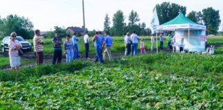 Dzień Ogórka w Chotelu Czerwonym