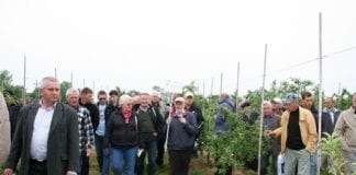 XVI Dzień Otwartych Drzwi w Sadzie Doświadczalnym IO