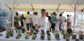 W sezonie ogórkowym… o ogórkach…