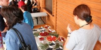 Warsztaty w ekologicznym sadzie