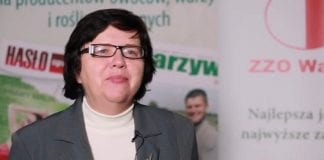 Nowe odmiany wiśni, czereśni i śliw