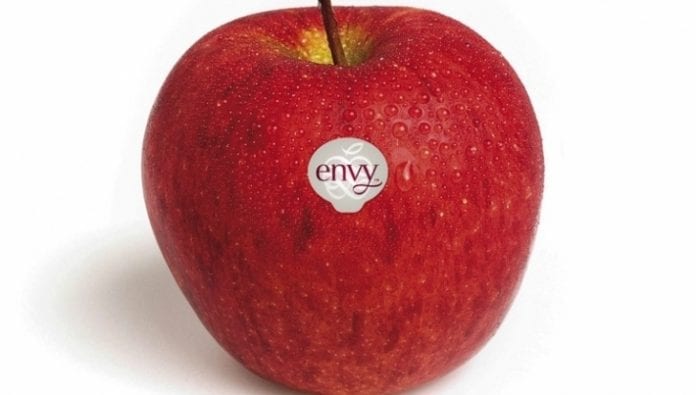 Jabłko Envy