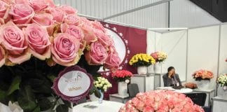 Powiew egzotyki, czyli Flower Expo Polska