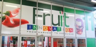 Fruit Innovation 2015