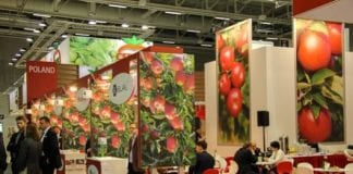 Polskie stoiska na Fruit Logistice