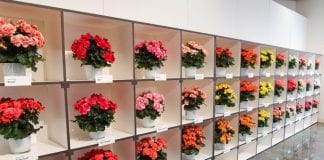FlowerTrials® 2016