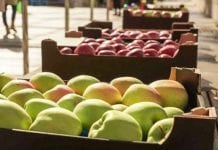 Andrij Yarmak: prognozy rynku jabłek na Ukrainie w 2018 r.