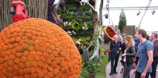 FLORALIËN Gent