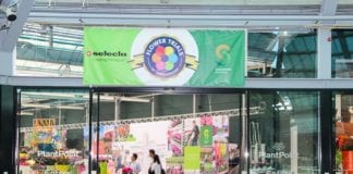 Z Flower Trials 2014