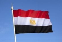 Egipt zbuduje szklarniowe mocarstwo