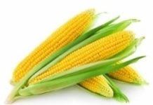 Spożycie kukurydzy w Polsce