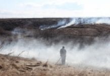 Potężne pożary traw na Syberii